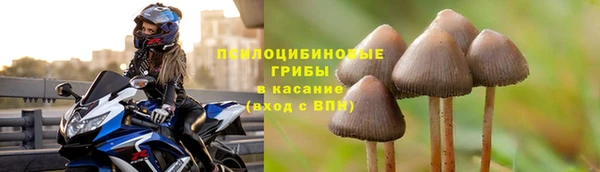 spice Беломорск