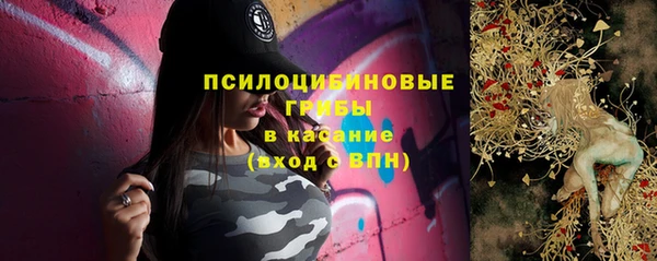 spice Беломорск