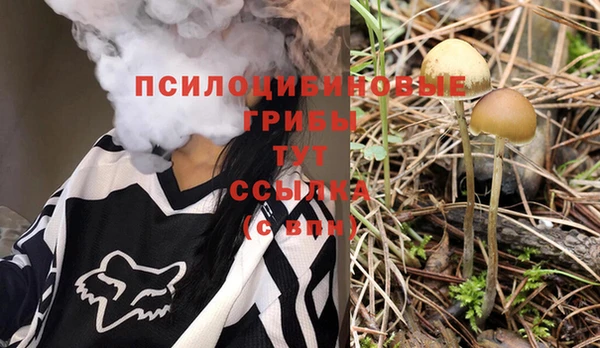 spice Беломорск